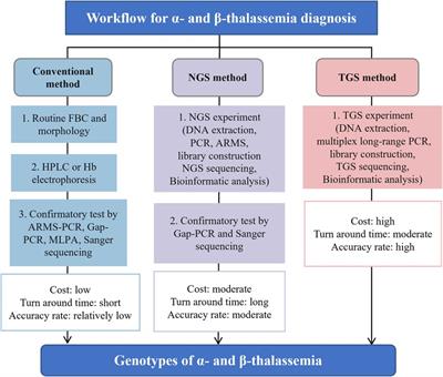 Third generation sequencing transforms the way of the screening and diagnosis of thalassemia: a mini-review